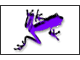 Purple Frog's Avatar